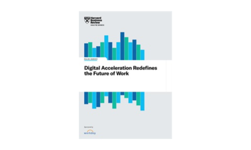 Harvard Business Review Digital Acceleration Pulse Report